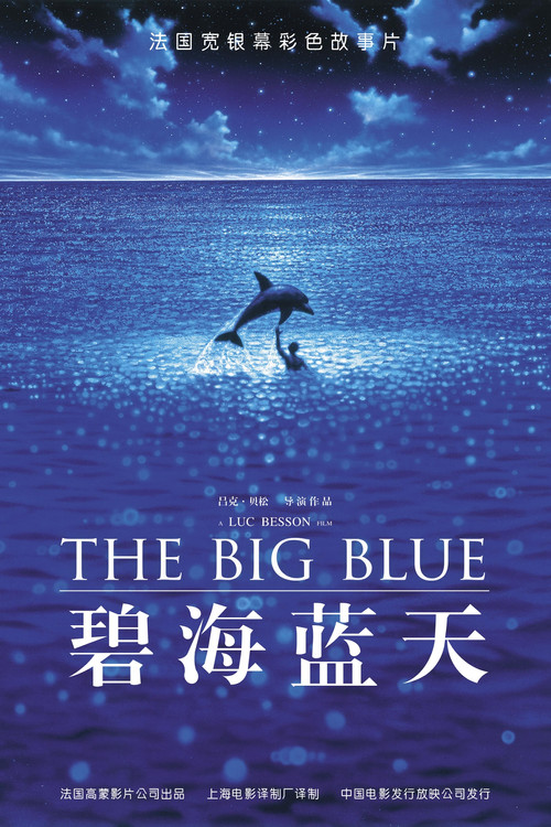 碧海蓝天 封面