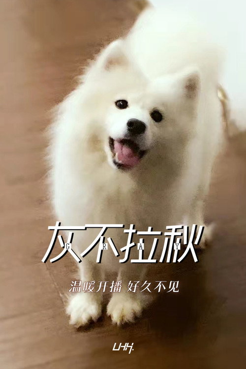 灰不拉秋 封面