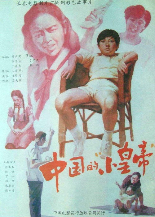 中国的“小皇帝” 封面