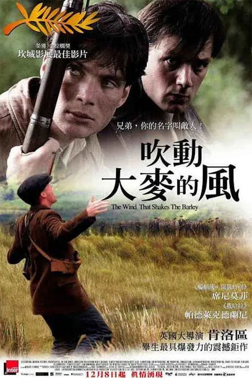 风吹麦浪 封面