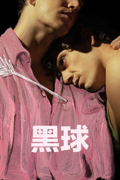黑球 封面