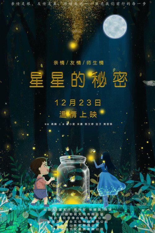 星星的秘密 封面