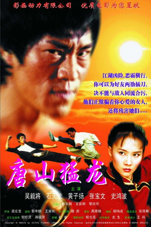 戰龍 2 封面