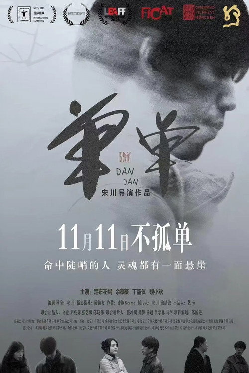 单单 封面