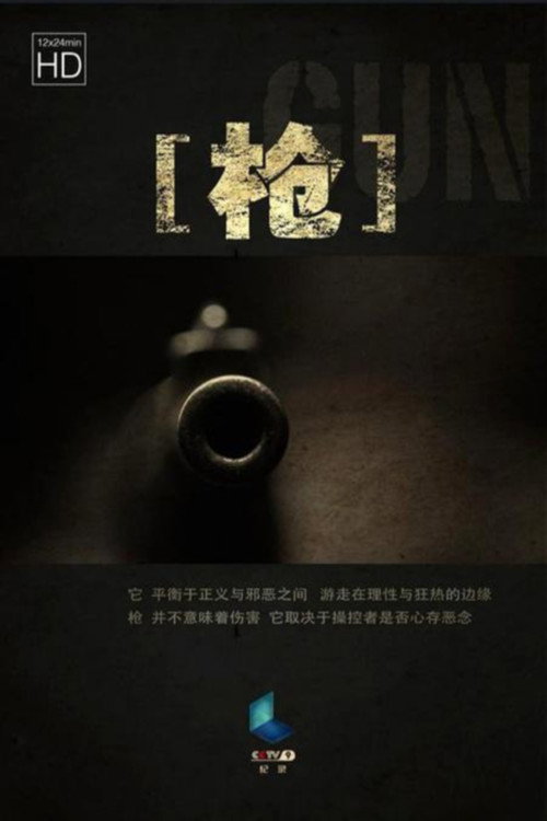 枪 封面