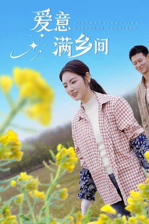 爱意满乡间 封面