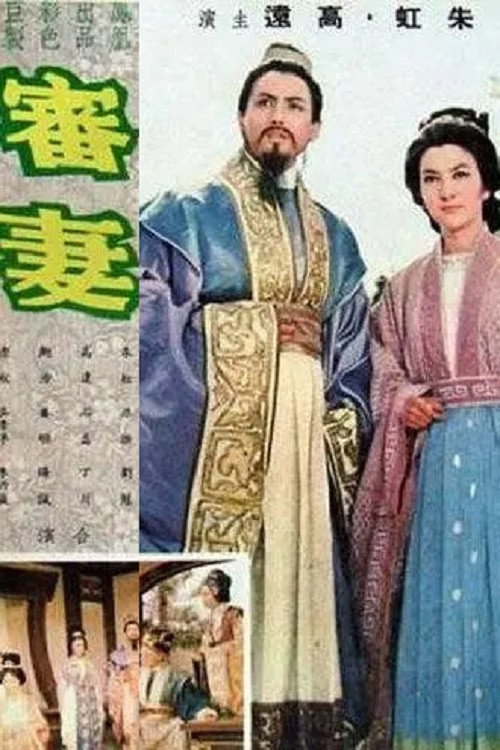 审妻 封面