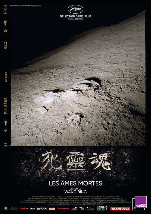 死灵魂 封面