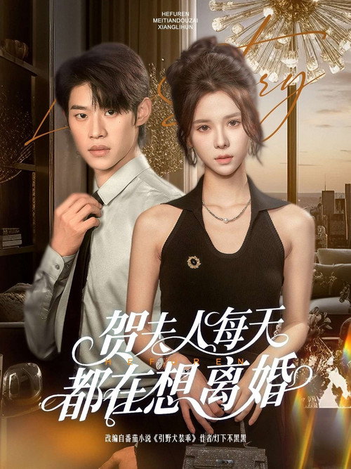 贺夫人每天都在想离婚 封面
