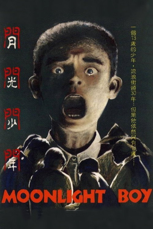 月光少年 封面