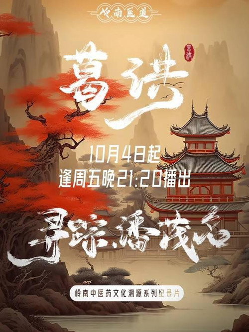岭南医道 封面
