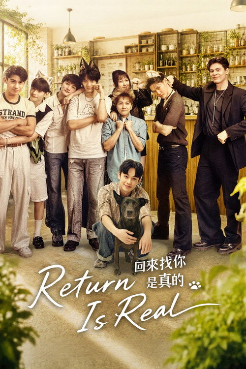 回来找你是真的 封面