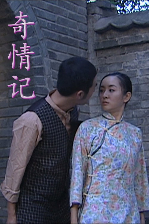 奇情记 封面