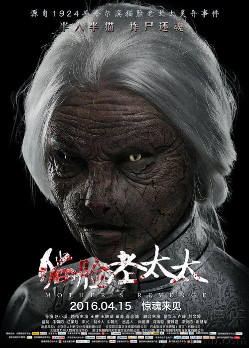 猫脸老太太 封面