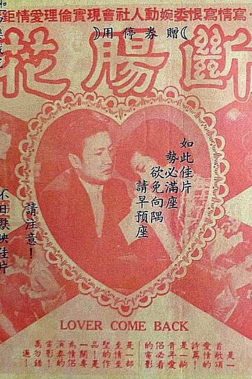 断肠花 封面
