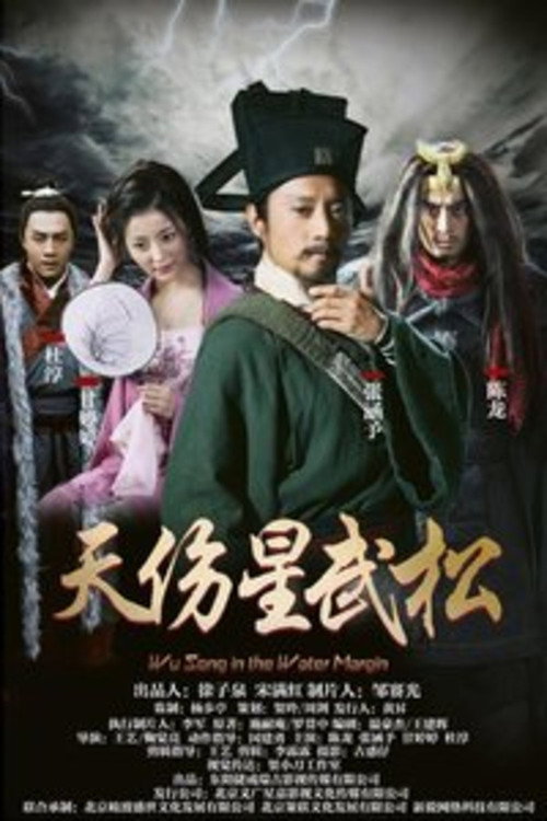 天伤星武松 封面
