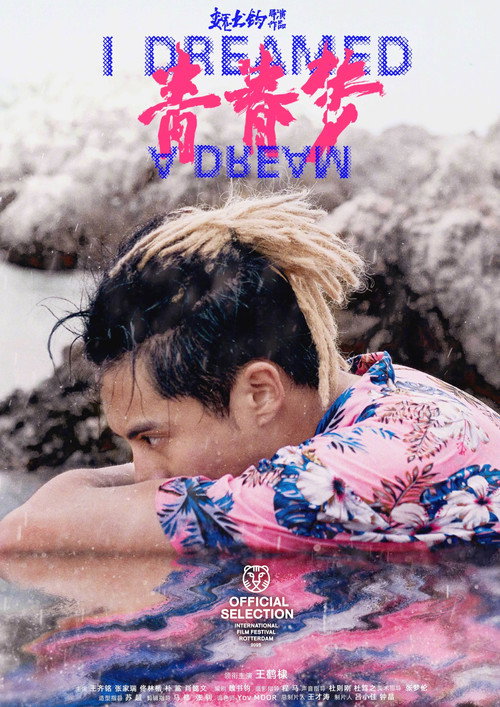 青春梦 封面