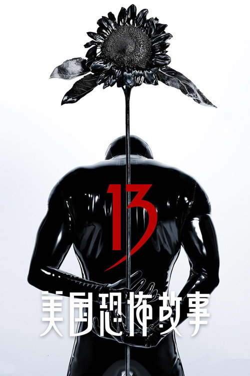 美国恐怖故事 封面