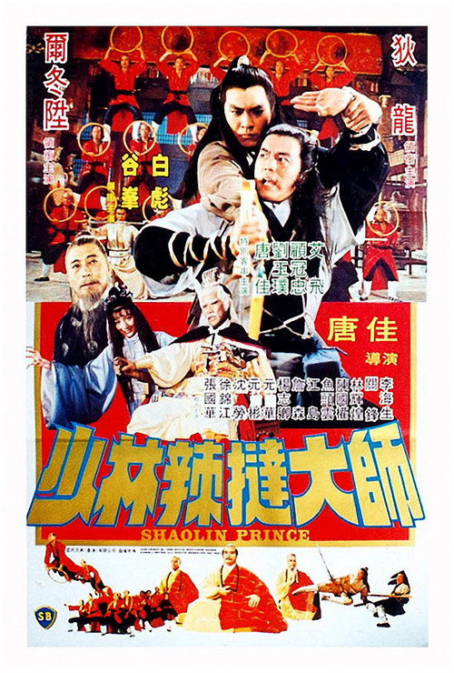 少林传人 封面