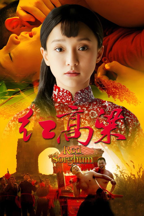 红高粱 封面