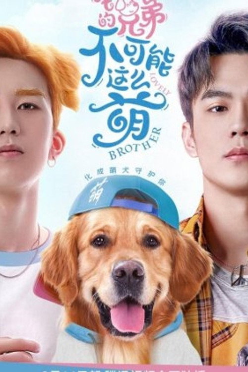我的兄弟不可能在这么萌 封面