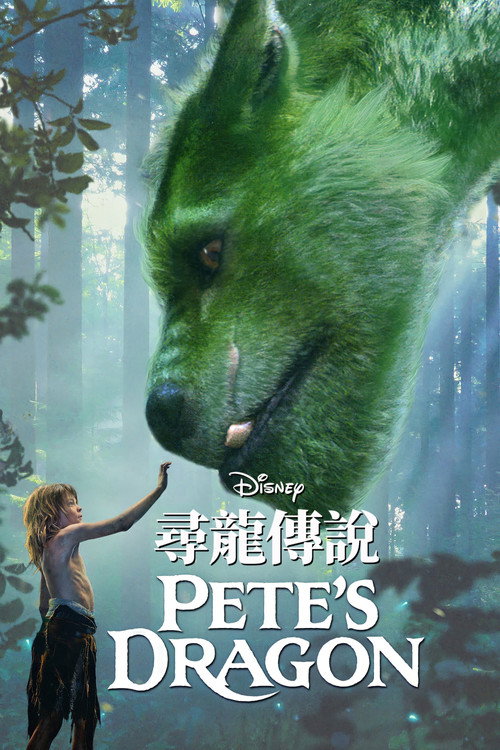 彼得的龙 封面