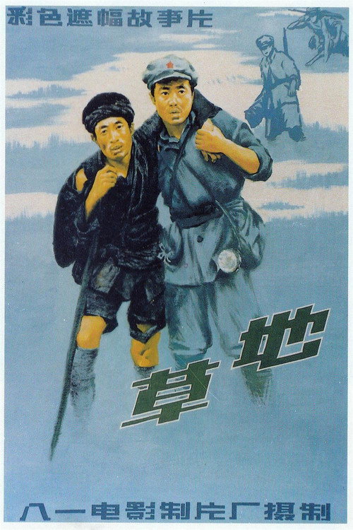 草地 封面
