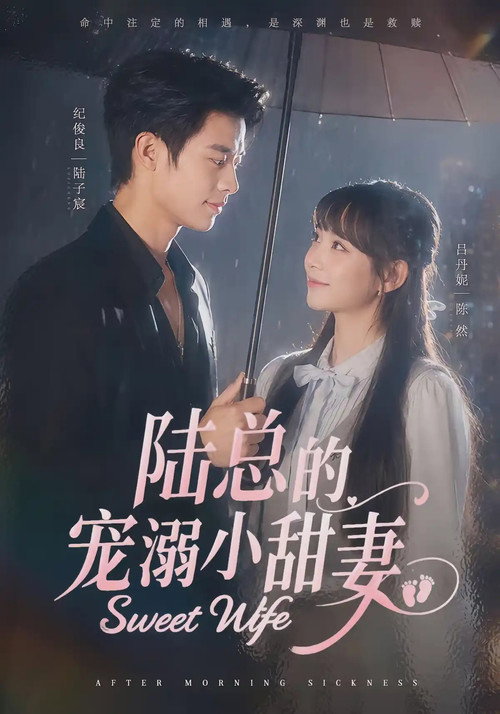陆总的宠溺小甜妻 封面