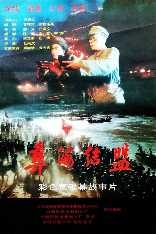 彝海结盟 封面