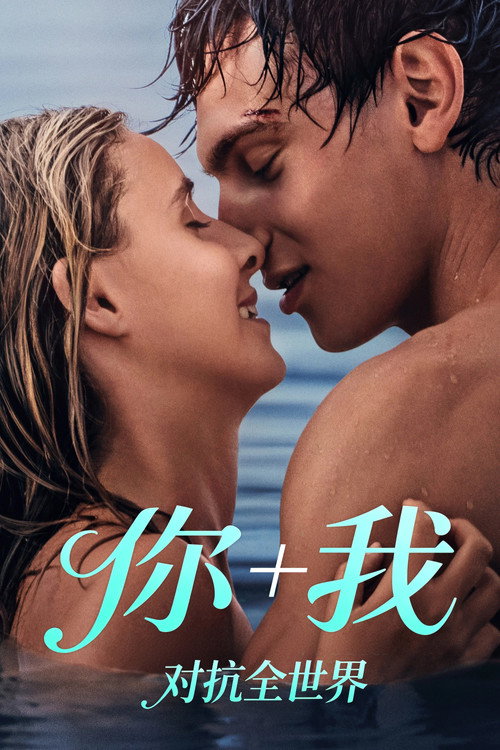 你和我:与世界为敌 封面