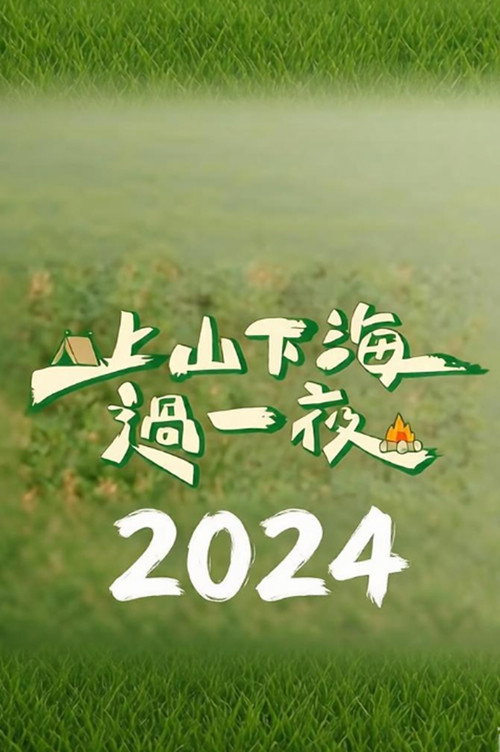 上山下海过一夜（2024） 封面