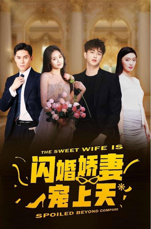 闪婚娇妻宠上天 封面