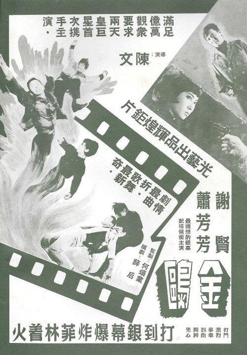 金鷗 封面