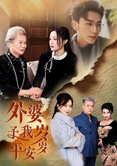 外婆予我岁岁平安 封面