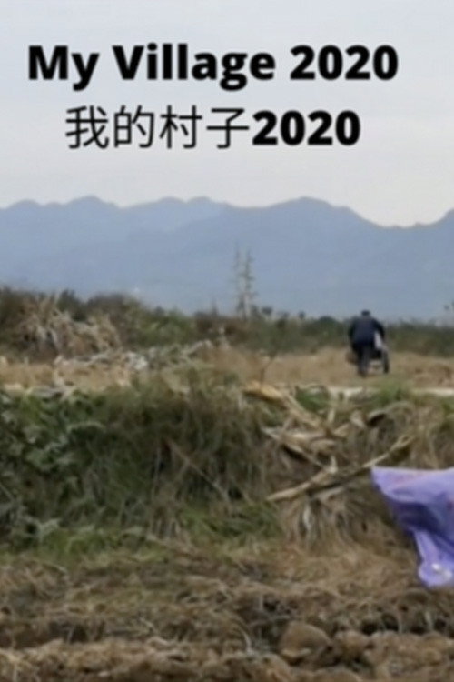 我的村子2020 封面