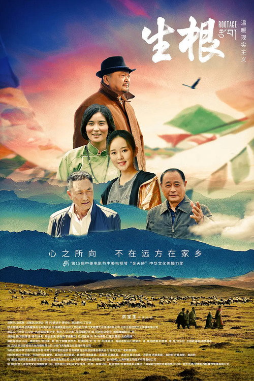 生根 封面