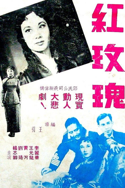 紅玫瑰 封面
