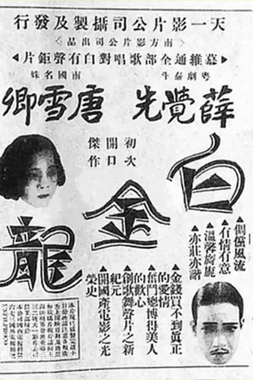 白金龍 封面