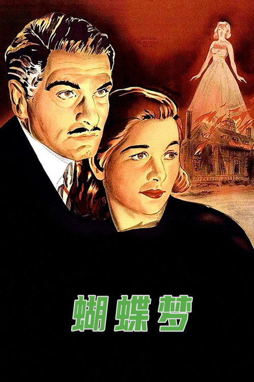 蝴蝶梦 封面