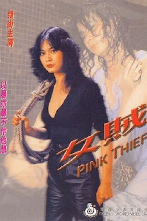 女贼 封面