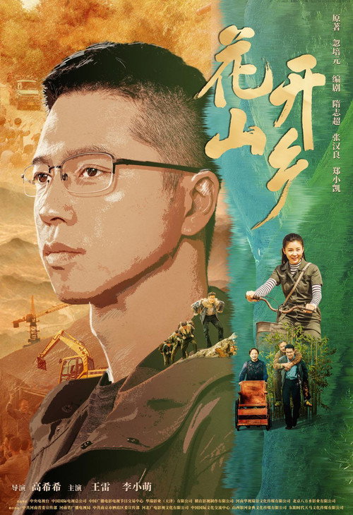 花开山乡 封面