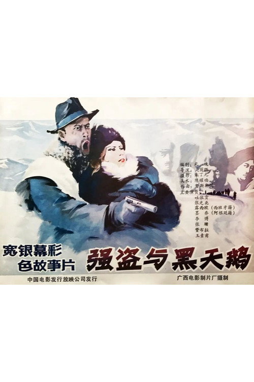 强盗与黑天鹅 封面