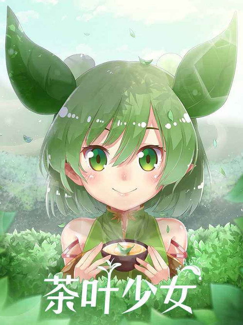 茶叶少女 封面
