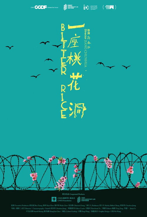 一座桃花洞 封面