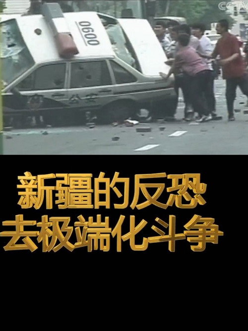 新疆的反恐去极端化斗争 封面