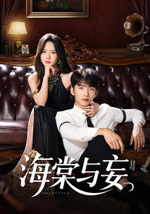 海棠与妄 封面