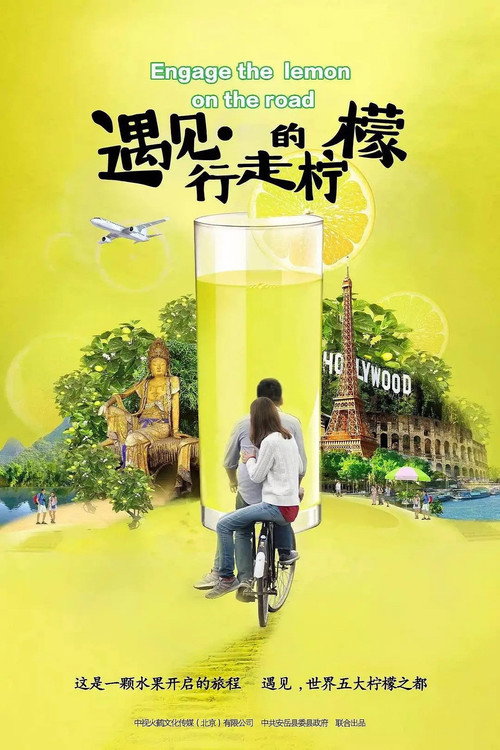 遇见行走的柠檬 封面