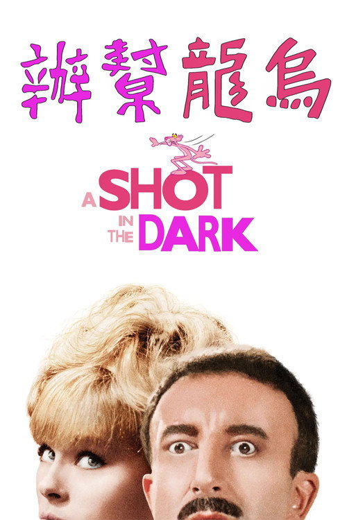 粉红豹系列:黑夜怪枪 封面