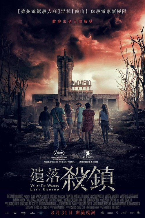 退水之后 封面