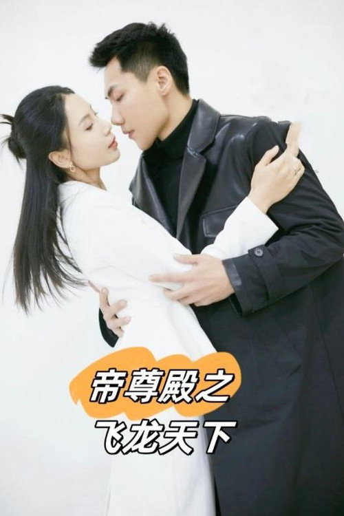 帝尊殿之飞龙天下 封面